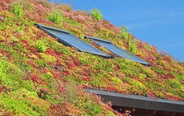 Upper Dowdeswell living roof systems